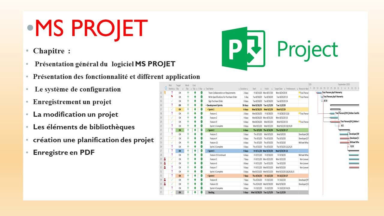 Formation MS Project